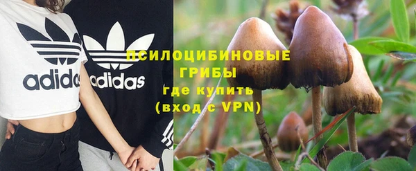 марки nbome Заводоуковск