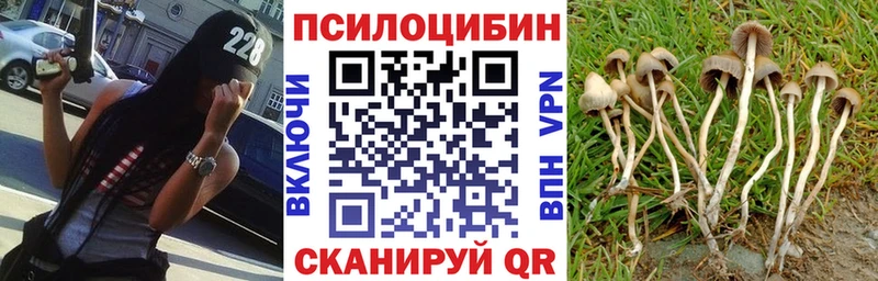 shop Telegram  цена наркотик  Мытищи  Псилоцибиновые грибы MAGIC MUSHROOMS 