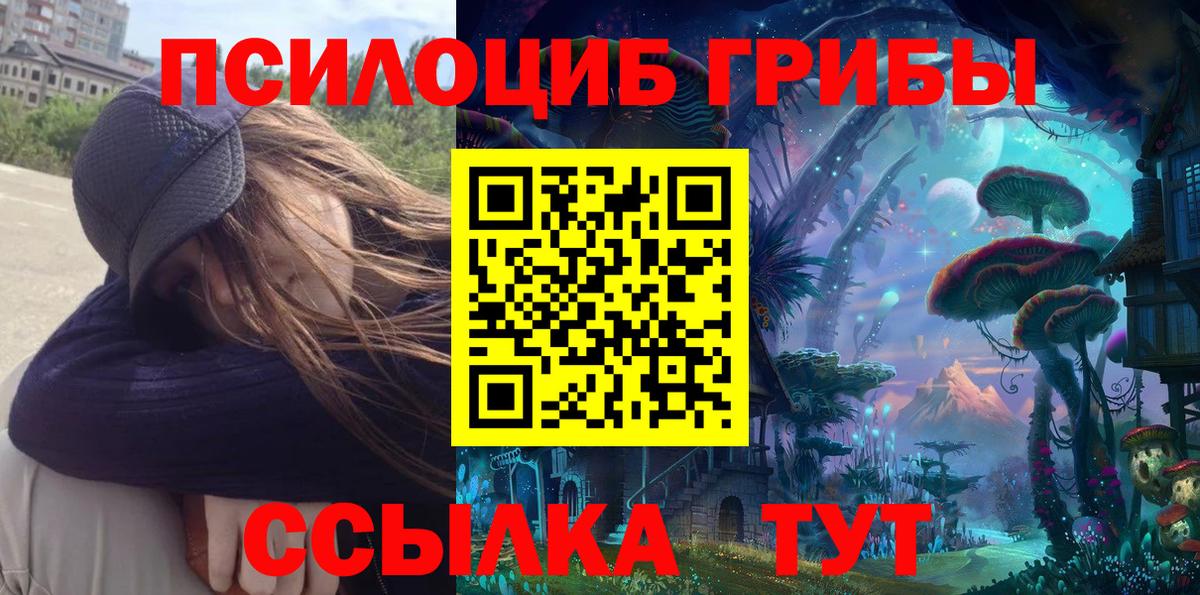 Псилоцибиновые грибы Psilocybine cubensis  Вход с VPN  Мытищи 